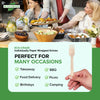 Eco-Craze - Wooden Fork - Individually Paper Wrapped
