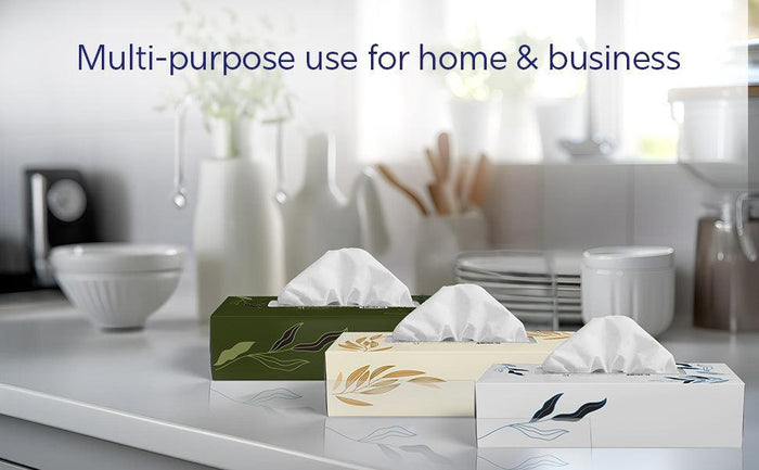 Mayfair - 2ply White Facial Tissue- 100 shts. - 5672