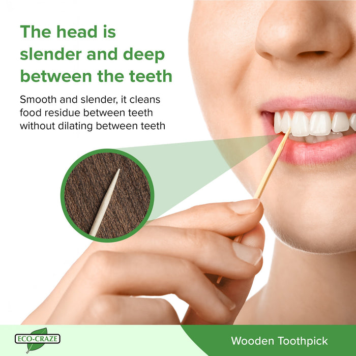 Eco-Craze - Toothpicks - Round - Regular - 2-65M