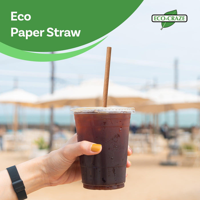 Eco-Craze - 6