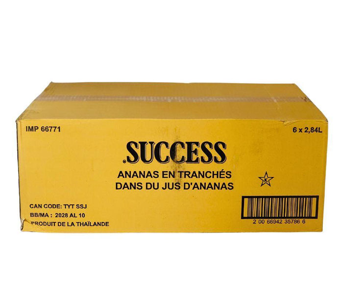 Success - Pineapple Whole Slice
