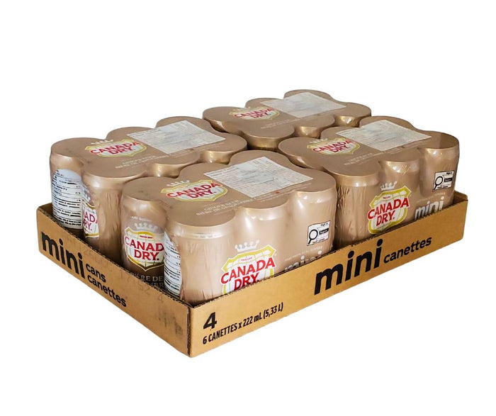 Canada Dry - Ginger Beer - Mini Cans