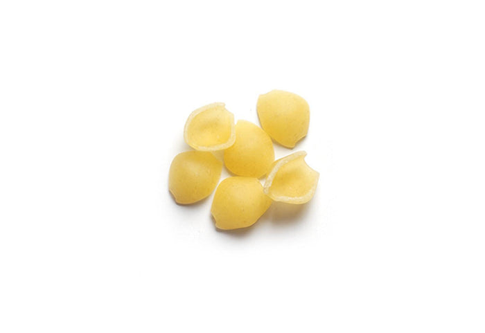 Italpasta - Baby Shells - 2235