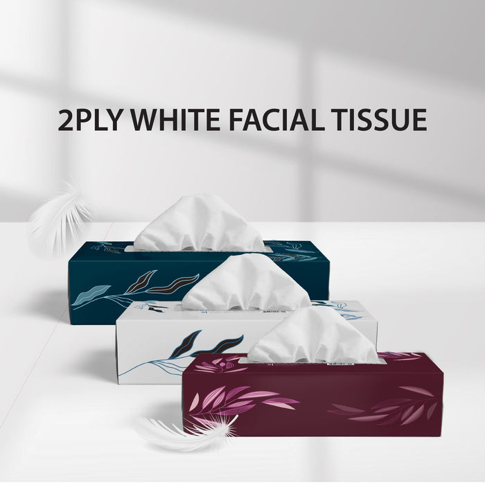 Mayfair - 2ply White Facial Tissue- 100 shts. - 5672
