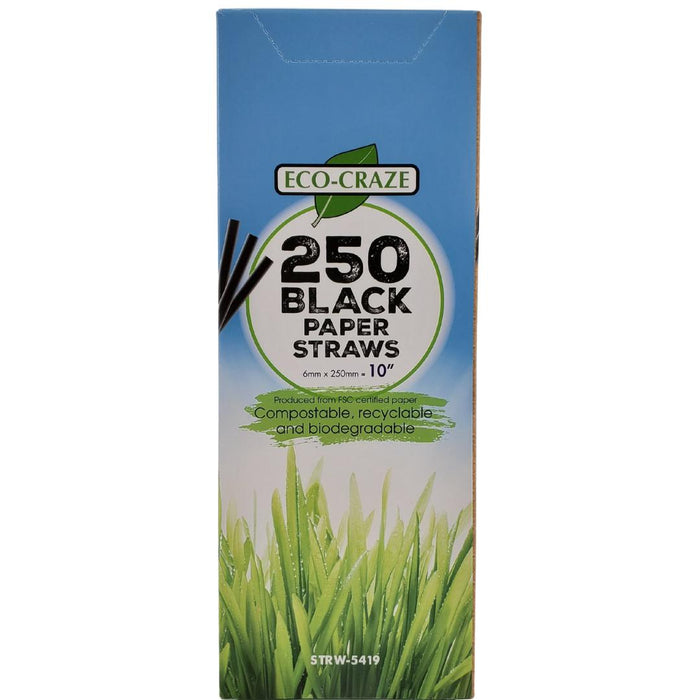 Eco-Craze Paper Straws - Black, 6mmx10