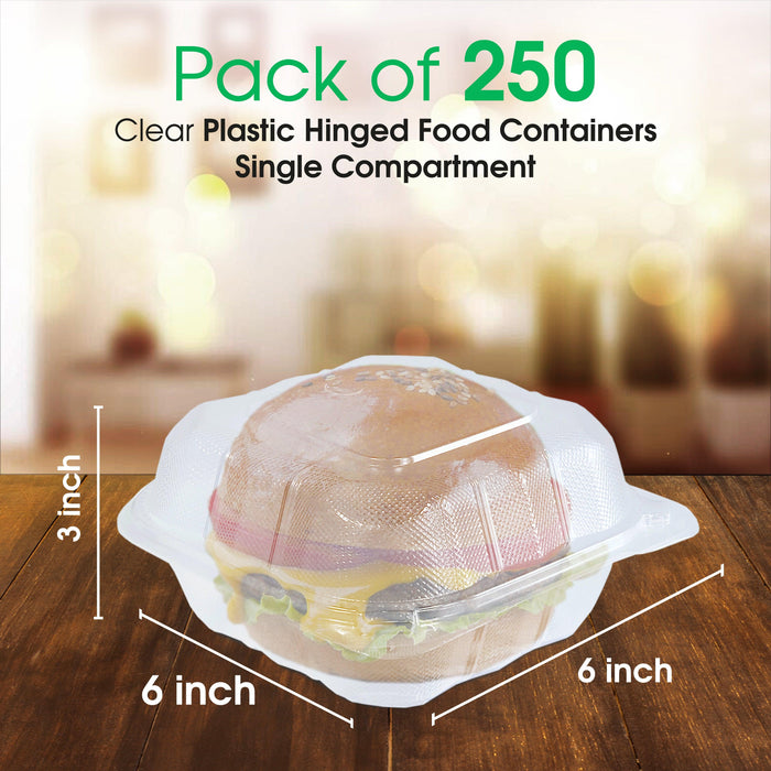 Eco-Craze MFPP Clamshell Container 9x9x2.6