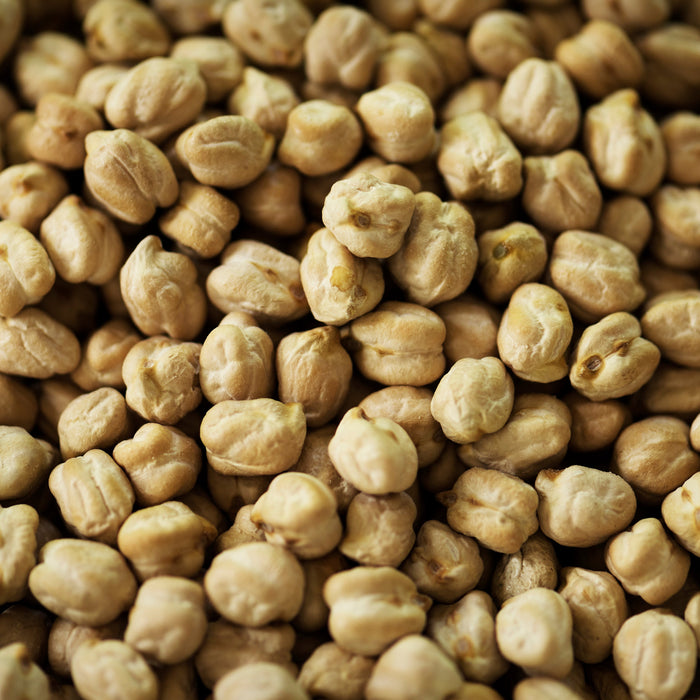 Chick Peas - White - 9mm - 55 lb - DaalC355//922299