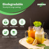 Eco-Craze - 6