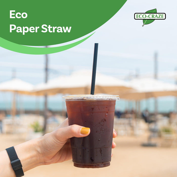 Eco-Craze - 6