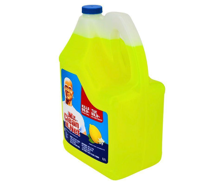 SO - Mr. Clean - All Purpose Cleaner
