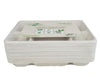 Eco-Craze - Corn Starch - Rectangular Cont./Thali - 6 Comp