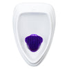 Ekcoscreen - Urinal Screen - Purple (Berry) - 60 Days