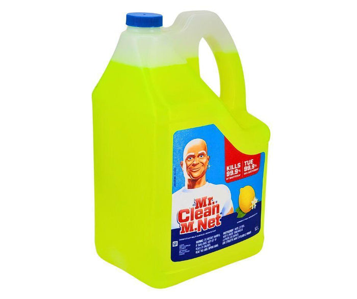 SO - Mr. Clean - All Purpose Cleaner