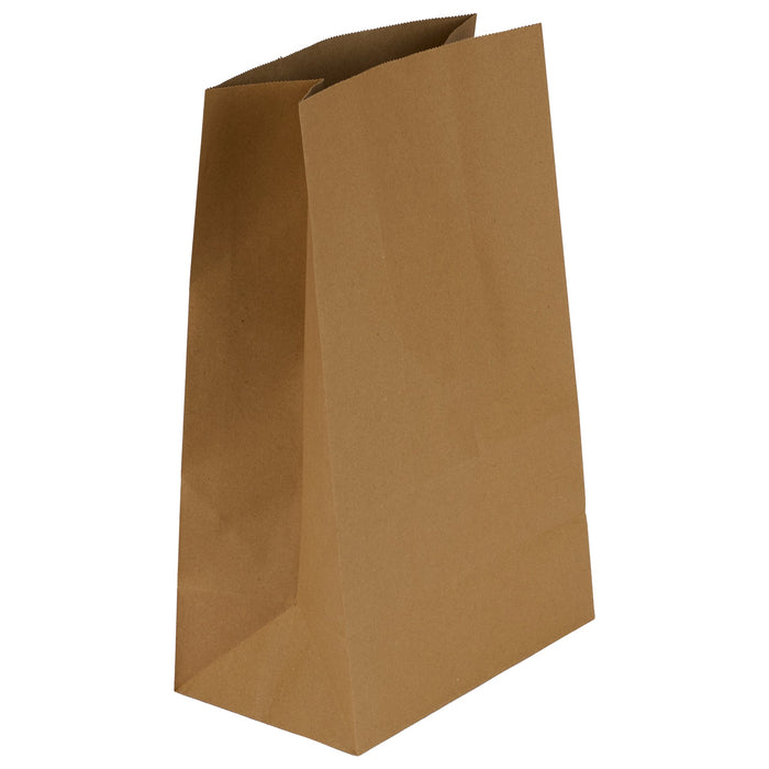 Eco-Craze - Brown Ppaer Bags - 9 3/4x6x16 - DD50