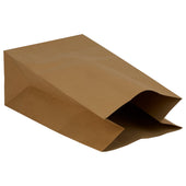Eco-Craze - Brown Ppaer Bags - 9 3/4x6x16 - DD50