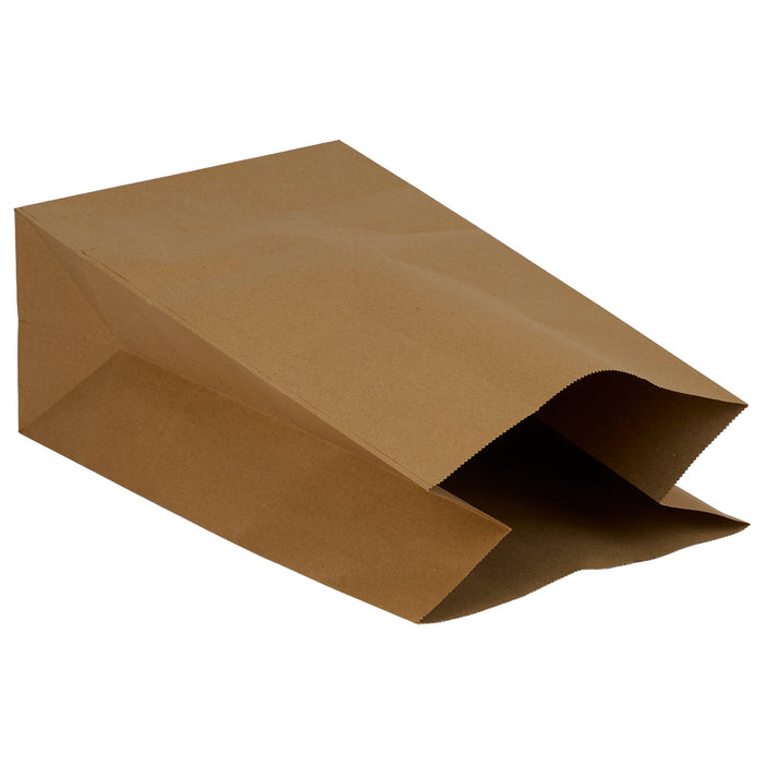Eco-Craze - Brown Ppaer Bags - 9 3/4x6x16 - DD50