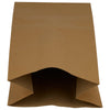 Eco-Craze - Brown Ppaer Bags - 9 3/4x6x16 - DD50