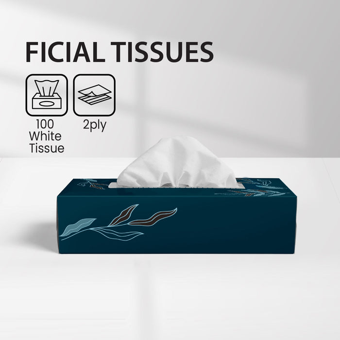 Mayfair - 2ply White Facial Tissue- 100 shts. - 5672