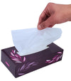Mayfair - 2ply White Facial Tissue - 5672