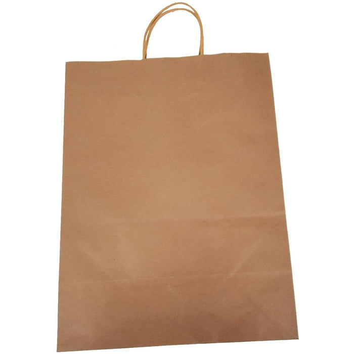 Eco-Craze - 13x7x17 Kraft Paper Bag - Twisted Handle