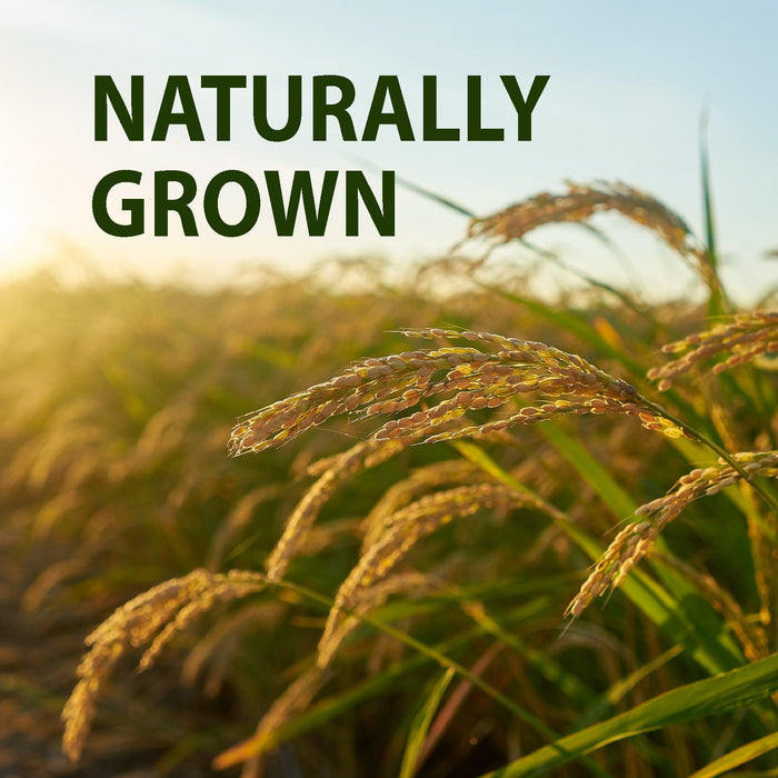 Apna - Basmati Rice - Extra Long - Blue Bag - 1121