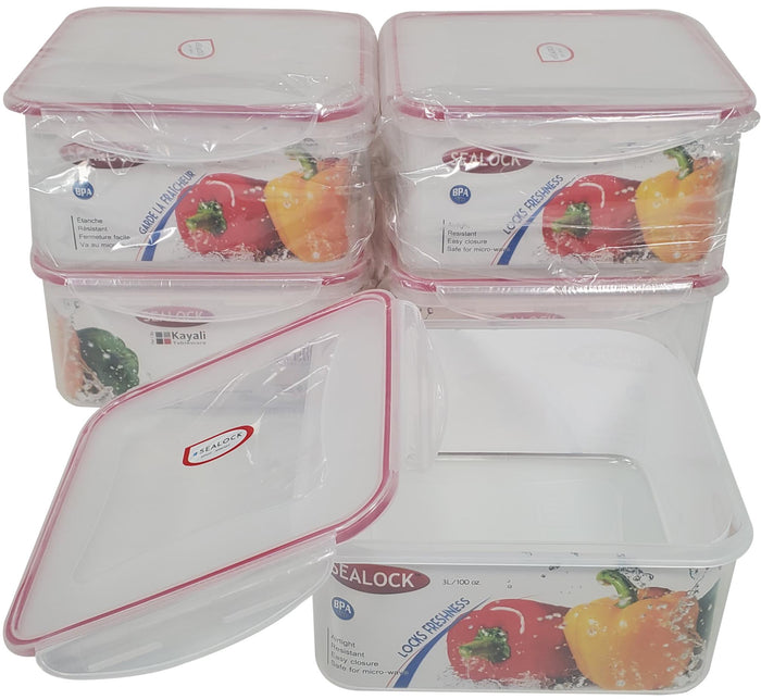 Pougine - 3L Sealed Glass Storage Jar - 6526-3L