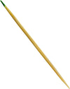 Eco-Craze - Bamboo Toothpick - Mint - Cello Wrap - C2-65M