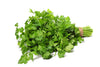 Fresh - Coriander/Cilantro