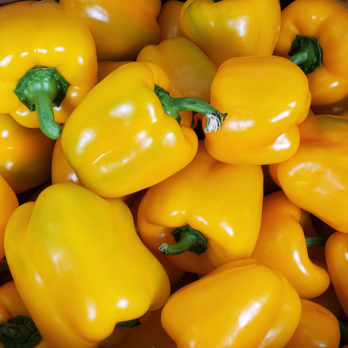 Fresh - Yellow Bell Peppers